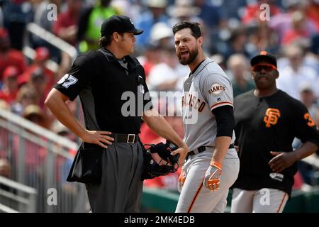 MLB umpire Ryan Additon (67) in the first inning during a baseball game  between the Arizona Diamondbacks and the Milwaukee Brewers, Saturday, Sept.  3, 2022, in Phoenix. (AP Photo/Rick Scuteri Stock Photo - Alamy