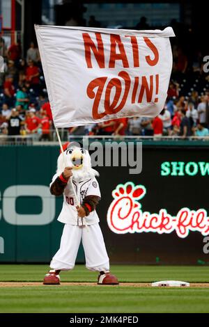 July 8 2015: The Pirate Parrot waves the Jolly Roger Flag after the final  out in the Pittsburgh Pirates 5-3 win over the San Diego Padres at PNC Park  in Pittsburgh, Pennsylvania (