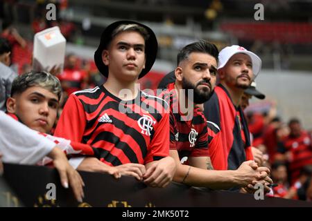 Final da Supercopa, entre Flamengo e Palmeiras, pode ser nos EUA