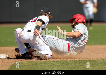 Quinn Hoffman plays baseball at Harvard