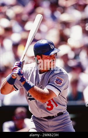 MLB: Mike Piazza. LA Dodgers, 1997 Stock Photo