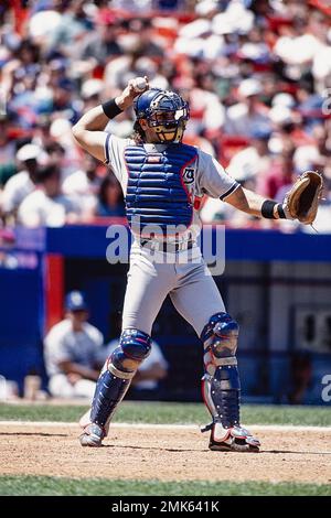 MLB: Mike Piazza. LA Dodgers, 1996 Stock Photo