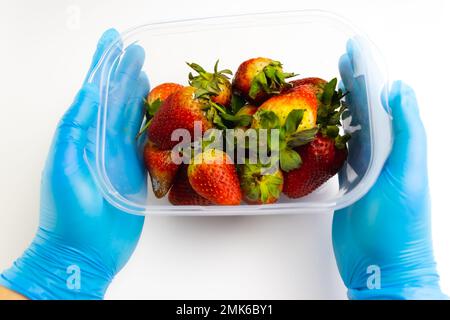 food waste, strawberries with mold in a container on a white background Stock Photo