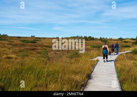 High moor and boardwalk, Hornisgrinde, Seebach, Northern Black Forest, Black Forest, Baden-Wuerttemberg, Germany Stock Photo