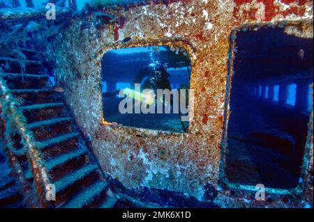 Diver looking through window, sunken shipwreck Karwela, left stairway to former upper deck, Mediterranean Sea, Mgarr, Gozo, Malta Stock Photo