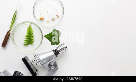 view plants laboratory items. High resolution photo Stock Photo