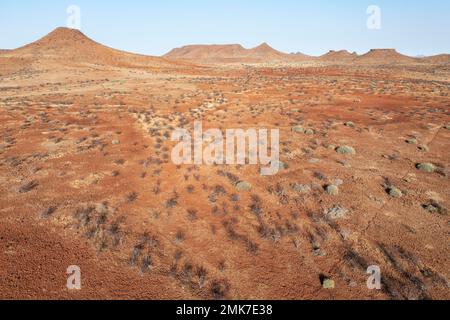 Arid land after years of drought planted with poisonous and resistant Damara milkbush (Euphorbia damarana) milk-bushes, aerial view, drone shot Stock Photo