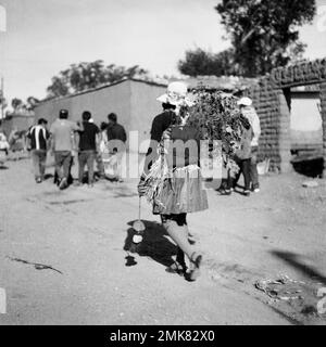 Atacama Plateau Desert Carnival Tradition Costume Latin America America animated Bolivian Bolivia custom crowded diverse carnival celebration Stock Photo