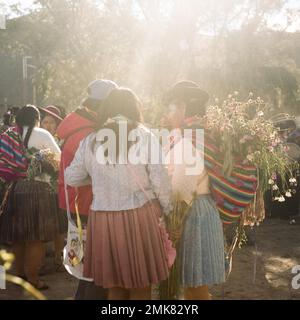 Atacama plateau desert carnival tradition traditional costume Latin America America animated Bolivian Bolivia custom customs colourful crowded Stock Photo