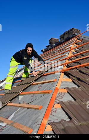 Roofer laying tiles on new batons above a breather membrane on house roof refurbishment, UK Stock Photo