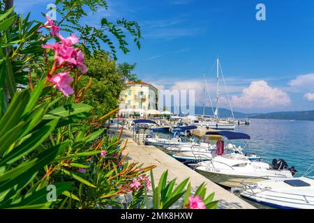 09.03.2019. Valun, Croatia: little fishermans village of Valun in Cres island with shrub flowers . Stock Photo
