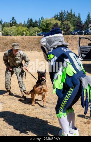 Seattle Seahawks mascot, Blitz, console Seattle Seahawks quarterback  Russell Wilson (3) as he departs the field after their 31-34 loss to the  Arizona Cardinals at CenturyLink Field in Seattle, Washington on December