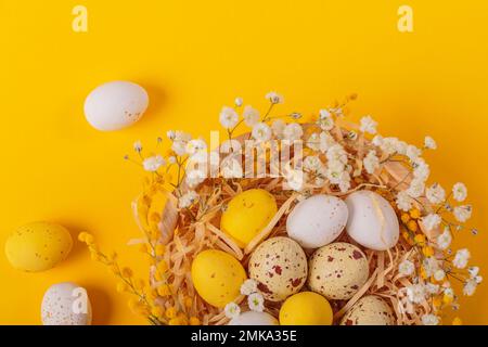 Easter candy chocolate eggs and almond sweets lying in a bird's nest Stock Photo