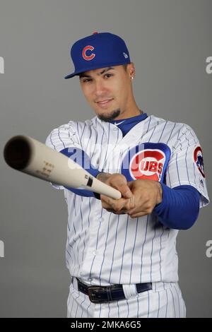 Chicago Cubs' Javier Baez, who has a tattoo of the MLB logo on the back of  his neck, waits to take batting practice before a baseball game against the  Arizona Diamondbacks, Saturday