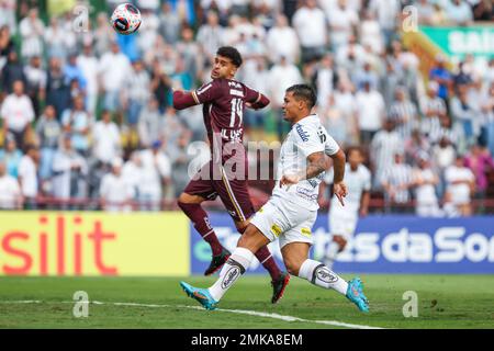 Mogi Das Cruzes, Brazil. 24th Aug, 2022. Yngrid da Ferroviaria during a  match between Corinthians x Ferroviaria valid for the 3rd round of the  Campeonato Paulista Feminino 2022 held at Estádio Nogueirão