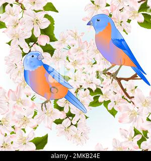 Seamless texture small birds thrush Bluebird  on a apple tree with flowers vintage vector illustration editable hand draw Stock Vector