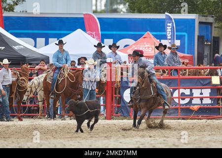 Homestead, FL, USA. 28th January 2023. 74th Annual Homestead Championship Rodeo, presented by Downrite Engineering and Spitzer Chrysler Dodge Jeep Ram of Homestead. Barrel Racing, Bull Riding, Tie Down Roping, Team Roping, Saddle Bronc Riding, Bareback Bronc Riding, Steer Wrestling, John Harrison Specialty Act, Homestead Everglades Posse Specialty Act. PRCA. Credit: Yaroslav Sabitov/YES Market Media/Alamy Live News Stock Photo