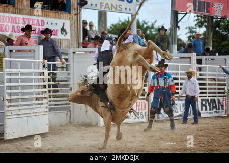 Homestead, FL, USA. 28th January 2023. 74th Annual Homestead Championship Rodeo, presented by Downrite Engineering and Spitzer Chrysler Dodge Jeep Ram of Homestead. Barrel Racing, Bull Riding, Tie Down Roping, Team Roping, Saddle Bronc Riding, Bareback Bronc Riding, Steer Wrestling, John Harrison Specialty Act, Homestead Everglades Posse Specialty Act. PRCA. Credit: Yaroslav Sabitov/YES Market Media/Alamy Live News Stock Photo