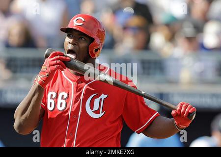 Cincinnati Reds' Yasiel Puig licks his bat after hitting a foul ball during  the fifth inning of a baseball game against the Milwaukee Brewers,  Saturday, June 22, 2019, in Milwaukee. (AP Photo/Aaron
