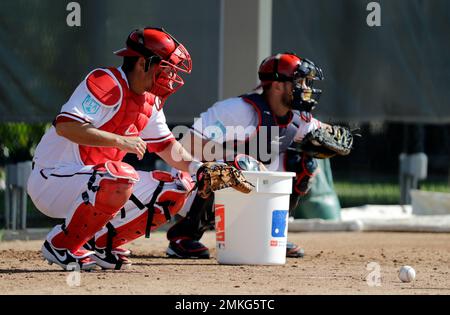 Washington Nationals catcher Kurt Suzuki returns the ball during spring  training baseball practice Saturday, Feb. 16, 2019, in West Palm Beach,  Fla. (AP Photo/Jeff Roberson Stock Photo - Alamy