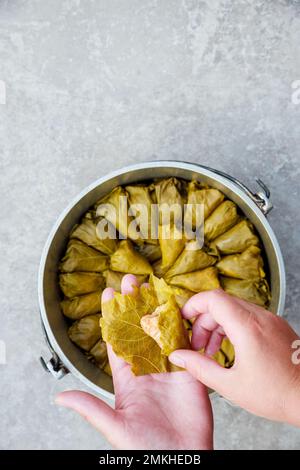 Stuffed grape leaves filled mainly with rice and herbs. Stock Photo