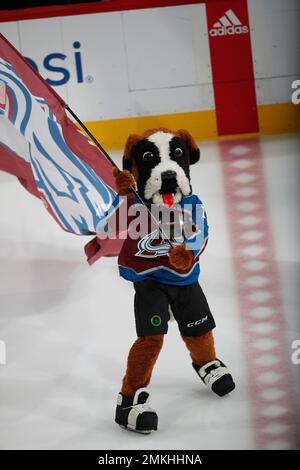 Bernie the Dog St. Bernard Colorado Avalanche Mascot Costume Animal