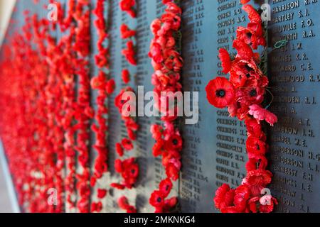 Poppies on the Wall of Remembrance. Stock Photo