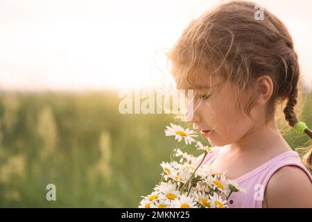 Daisy flowers on wooden background, summer chamomile flat lay. Valentine's,  womens, mothers day, birthday or wedding concept. Top view. Copy space.  Generated AI. 26848864 Stock Photo at Vecteezy