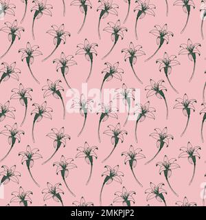 Spring flower Daylily pink Lily vector illustration Stock Vector Image ...