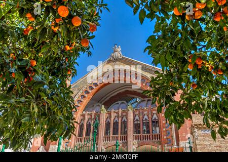 Mercado de Colon (Columbus Market) and orange trees, Valencia, Spain Stock Photo