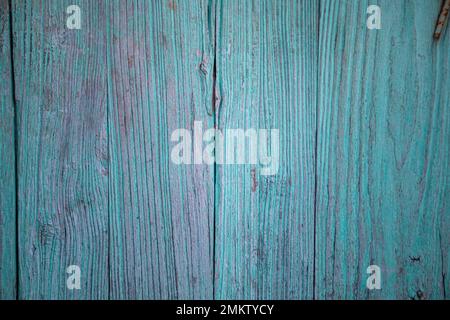 Old door aged by time made of natural wood painted in intense blue Stock Photo