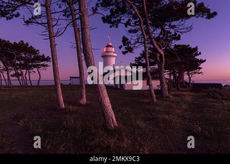 Sletterhage lighthouse behind pine trees in the purple twilight at dusk, Djursland, Jutland, Denmark Stock Photo