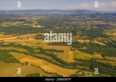 Drone photography of highway, vineyards and olive trees during summer day Stock Photo