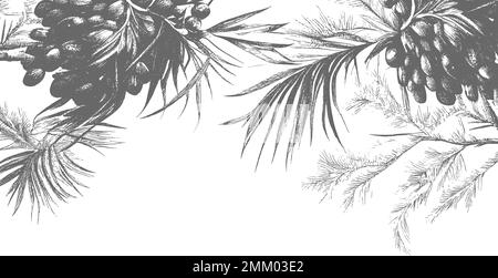 Ink drawn dates with leaves. Ripe fruits hang from the branches.Border design with date palm leaves and ripe fruits sketch vector illustration isolated on white background. Stock Vector