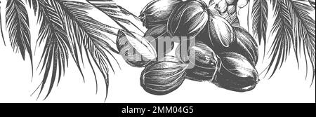 Ink drawn dates with leaves. Ripe fruits hang from the branches.Border design with date palm leaves and ripe fruits sketch vector illustration isolated on white background. Stock Vector