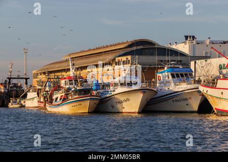 Isla Cristina, Huelva Province, Andalusia, southern Spain.  Fishing boats in the port.  Isla Cristina is a major Spanish fishing port. Stock Photo