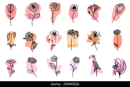 Line art doodle flowers vector plant floral set isolated on white background. Flat style graphic design illustration. Stock Photo
