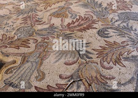 The Mosaic floor in the Chapel of the Priest John, Mount Nebo, Jordan, Middle East Stock Photo