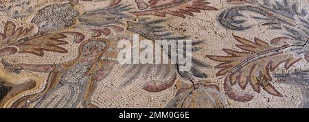 The Mosaic floor in the Chapel of the Priest John, Mount Nebo, Jordan, Middle East Stock Photo