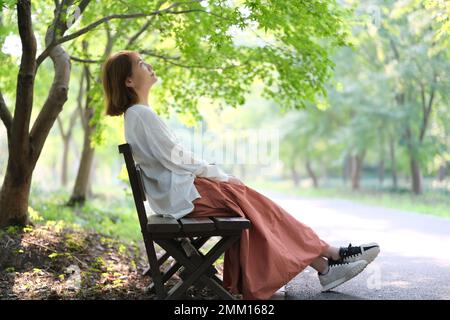 Asian young woman sitting bench look up under green tree in park on sunny day. Full length side view Stock Photo
