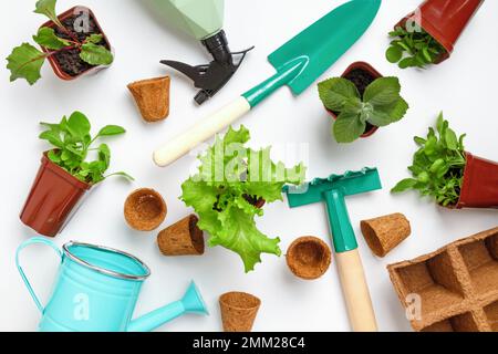 Gardening concept. Working tools and plants flowers in pots on the table. Stock Photo
