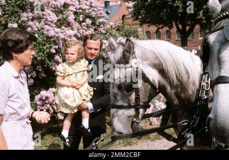 Carl XVI Gustaf, King of Sweden. Born 30 april 1946.  The King Carl XVI Gustaf with crown princess Victoria 1980.  Lipizzans. A horse breed that is best known through the Spanish Riding School in Vienna, popular in equestrian sports mainly dressage. In connection with the crown princess being named Victoria, an idea was born from stallion keeper Josef Major. The Swedish Lipizzaner Association would donate a two-team to the princess, called the Victoria team.     In the court stable there was already a carriage named after the former Queen Victoria, which was also pulled by two Lipizzaner horse Stock Photo