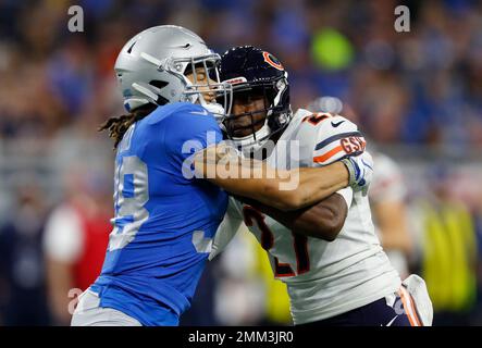 Chicago Bears defensive back Mike Brown celebrates the Bears 13-3 win over  the Carolina Panthers, at Soldier Field, in Chicago on November 20, 2005.  (UPI Photo/Brian Kersey Stock Photo - Alamy