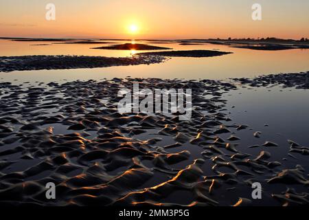 Sands flats exposed at low tide at West Wittering, West Sussex, UK. Stock Photo