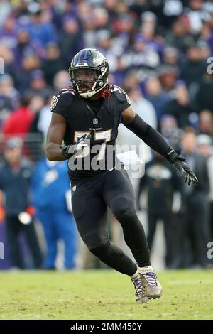 Cincinnati Bengals at Baltimore Ravens, Nov. 18