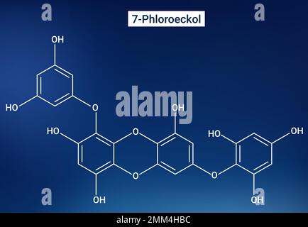 The chemical structure of 7-Phloroeckol Stock Vector
