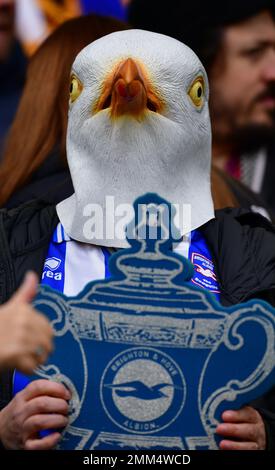 Brighton, UK. 29th Jan, 2023. A Brighton fan during the FA Cup Fourth Round match between Brighton & Hove Albion and Liverpool at The Amex on January 29th 2023 in Brighton, England. (Photo by Jeff Mood/phcimages.com) Credit: PHC Images/Alamy Live News Stock Photo