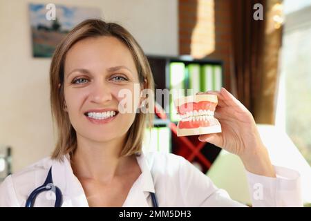 Happy female dentist smiles and holds plastic jaws in her hands close up. Stock Photo