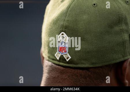 Arizona Cardinals mascot Big Red does his part during the Salute to Service  during an NFL football game against the Carolina Panthers Sunday, Nov. 14,  2021, in Glendale, Ariz. (AP Photo/Darryl Webb