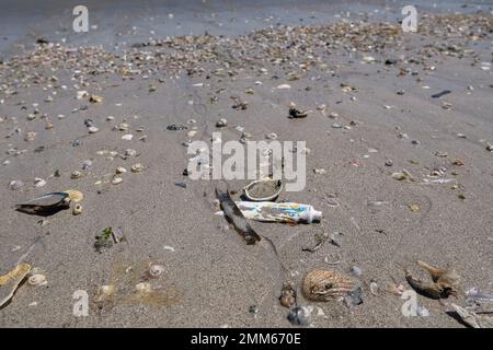 Used Tooothpaste tube discarded on shells beach ecosystem,sea coast pollution contamination Stock Photo